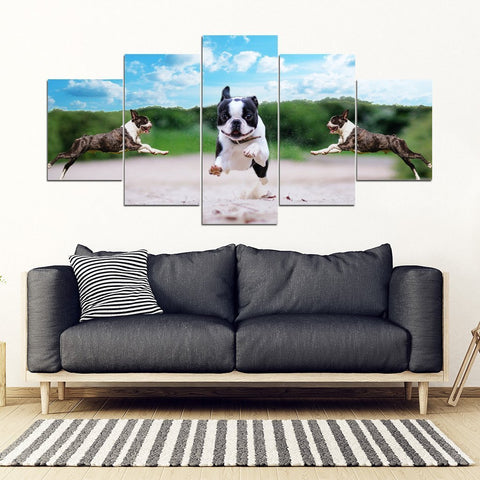 Boston Terrier Print- Piece Framed Canvas- Free Shipping-Paww-Printz-Merchandise