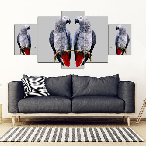 African Grey Parrot (The Grey Parrot ) Print 5 Piece Framed Canvas- Free Shipping-Paww-Printz-Merchandise