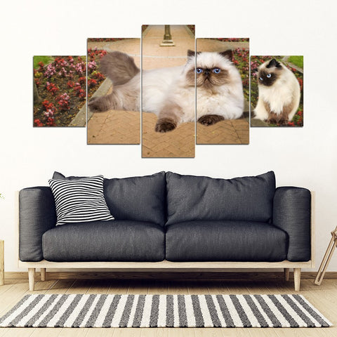 Himalayan Cat Print-5 Piece Framed Canvas- Free Shipping-Paww-Printz-Merchandise