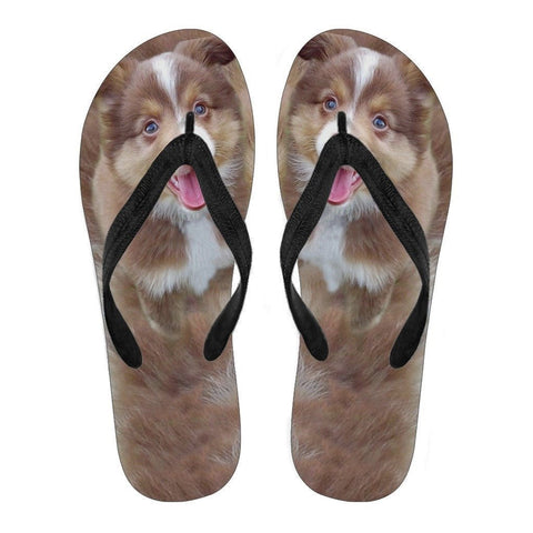 Miniature Australian Shepherd Puppy Flip Flops For Men-Free Shipping-Paww-Printz-Merchandise