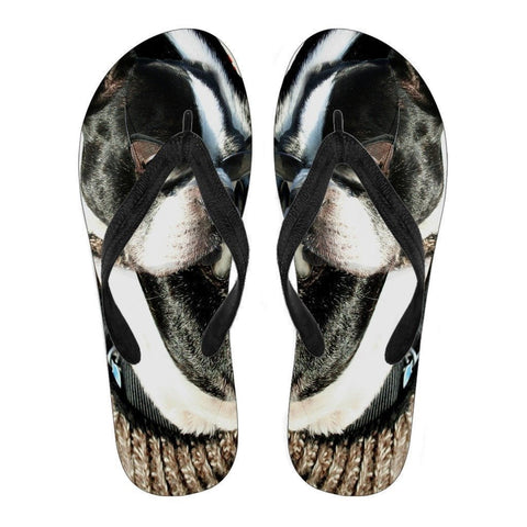 Boston Terrier Men's Flip Flops- Free Shipping-Paww-Printz-Merchandise