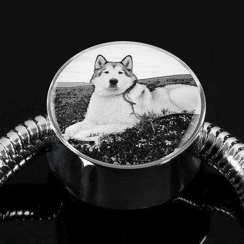 Alaskan Malamute Print Circle Charm Luxury Bracelet -Free Shipping