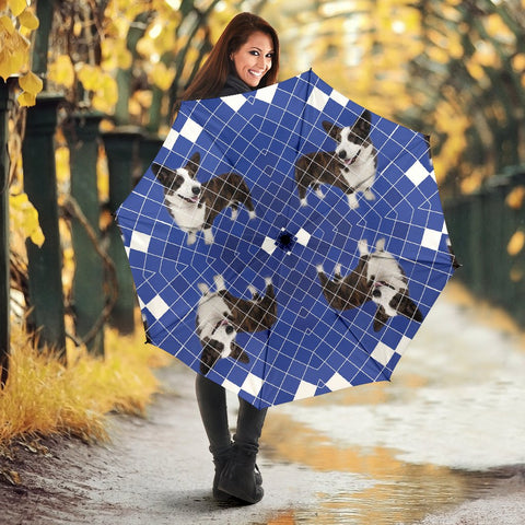 Cardigan Welsh Corgi Print Umbrellas