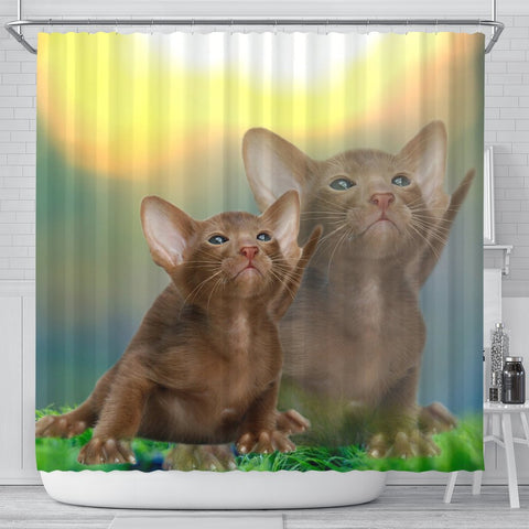 Cute Oriental Shorthair Cat Print Shower Curtains-Free Shipping