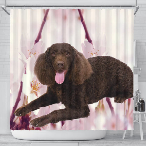 American Water Spaniel Print Shower Curtains-Free Shipping