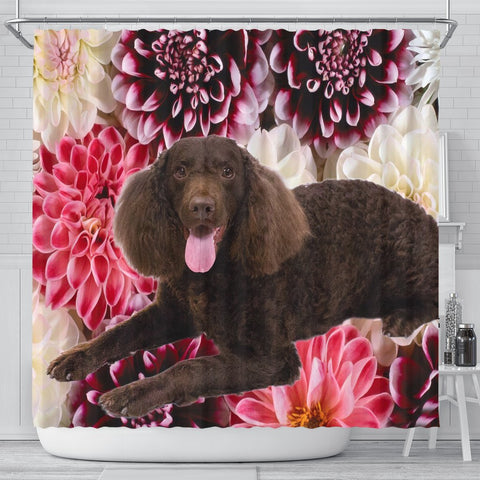Cute American Water Spaniel Print Shower Curtains-Free Shipping