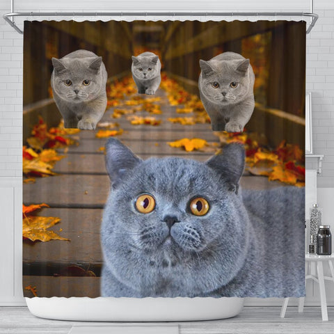 Amazing British Shorthair Cats Shower Curtain-Free Shipping