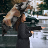 Australian Terrier Print Umbrellas