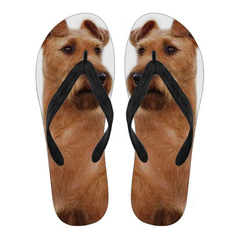 Irish Terrier Flip Flops For Women-Free Shipping-Paww-Printz-Merchandise