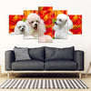 Cute Poodle Print 5 Piece Framed Canvas- Free Shipping-Paww-Printz-Merchandise