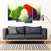 Eclectus Parrot Print 5 Piece Framed Canvas- Free Shipping-Paww-Printz-Merchandise