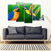 Blue And Yellow Macaw Parrot (Blue And Gold Macaw ) Print 5 Piece Framed Canvas- Free Shipping-Paww-Printz-Merchandise