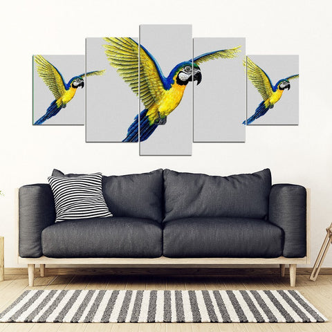 Blue And Yellow Macaw Parrot Print 5 Piece Framed Canvas- Free Shipping-Paww-Printz-Merchandise