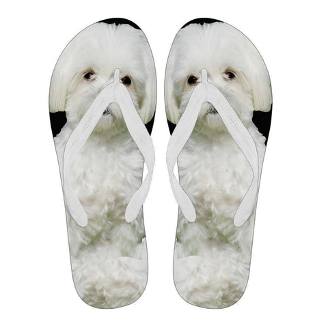 Maltese Flip Flops For Men-Free Shipping Limited Edition-Paww-Printz-Merchandise