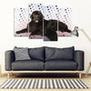 Newfoundland2 Dog Print-5 Piece Framed Canvas- Free Shipping-Paww-Printz-Merchandise