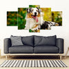 Australian Shepherd Dog Print New 5 Piece Framed Canvas- Free Shipping-Paww-Printz-Merchandise