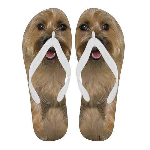 Cairn Terrier Flip Flops For Men-Free Shipping-Paww-Printz-Merchandise