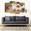 Himalayan Cat Print-5 Piece Framed Canvas- Free Shipping-Paww-Printz-Merchandise