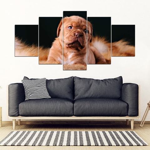 Dogue de Bordeaux Print- Piece Framed Canvas- Free Shipping-Paww-Printz-Merchandise