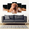 Dogue de Bordeaux Print- Piece Framed Canvas- Free Shipping-Paww-Printz-Merchandise