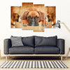 Boxer Dog Print- Piece Framed Canvas- Free Shipping-Paww-Printz-Merchandise