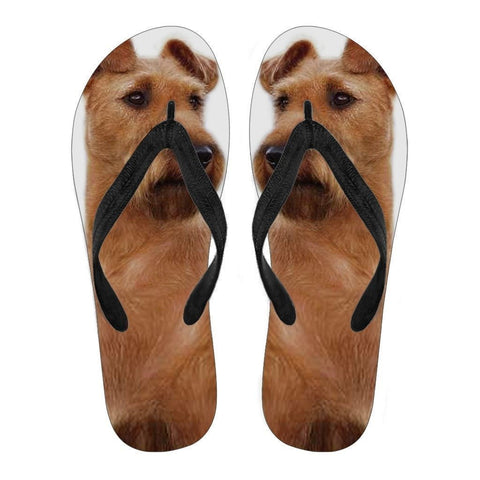 Irish Terrier Flip Flops For Men-Free Shipping-Paww-Printz-Merchandise