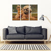 Brussels Griffon Print-3 Piece Framed Canvas- Free Shipping-Paww-Printz-Merchandise