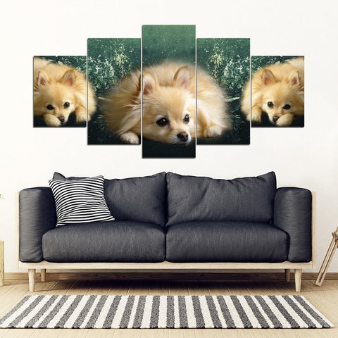 Pomeranian Dog Print- 5 Piece Framed Canvas- Free Shipping-Paww-Printz-Merchandise