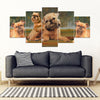 Brussels Griffon Print-3 Piece Framed Canvas- Free Shipping-Paww-Printz-Merchandise