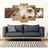 Himalayan Cat Print-5 Piece Framed Canvas- Free Shipping-Paww-Printz-Merchandise