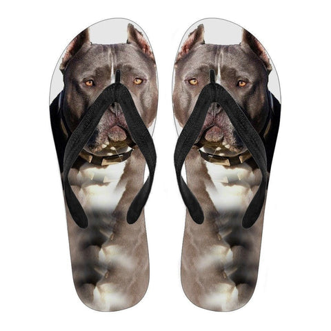 Pitbull Flip Flops For Men- Free Shipping-Paww-Printz-Merchandise