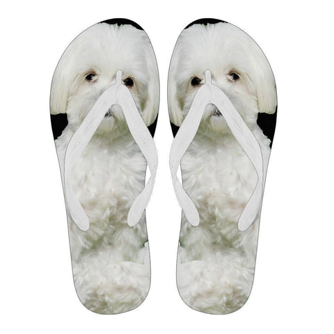 Maltese Flip Flops For Women-Free Shipping-Paww-Printz-Merchandise