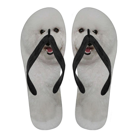 Bichon Flip Flops For Men-Free Shipping-Paww-Printz-Merchandise