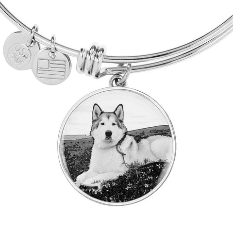 Alaskan Malamute Print Luxury Bangle-Free Shipping