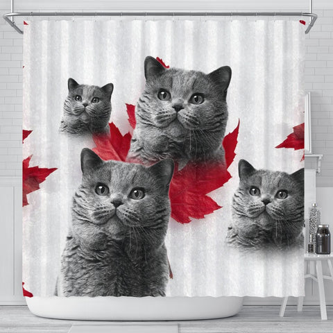 British Shorthair Print Shower Curtains-Free Shipping