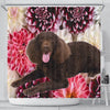 Cute American Water Spaniel Print Shower Curtains-Free Shipping