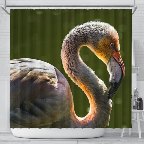 Beautiful Swan Bird Print Shower Curtains-Free Shipping