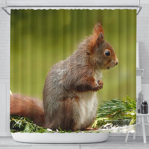 Cute Red Squirrel Print Shower Curtains-Free Shipping