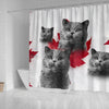 British Shorthair Print Shower Curtains-Free Shipping
