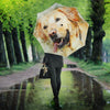 Labrador Retriever Dog Watercolor Art Print Umbrellas