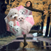 Bolognese Dog Print Umbrellas