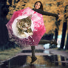 American Shorthairn Cat Print Umbrellas