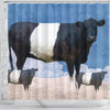 Amazing Belted Galloway Cattle (Cow) Print Shower Curtain-Free Shipping