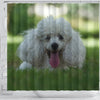 Cute Poodle Puppy Print Shower Curtains-Free Shipping
