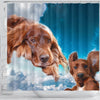 Irish Setter On Sky Blue Print Shower Curtains-Free Shipping
