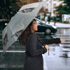 Korat Cat Print Umbrellas