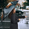 Akita Dog Print Umbrellas