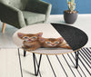 Abyssinian Cat Print Circular Coffee Table